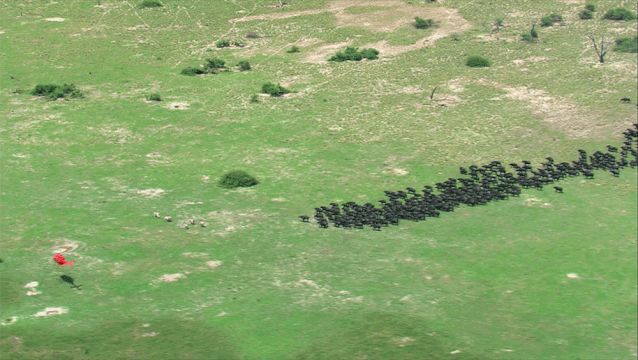 图片[2]-好利来蛋糕散伙，据说原因是创始人太痴迷于摄影，花费5亿，如何看待企业创始人这种对爱好的痴迷?-一鸣资源网