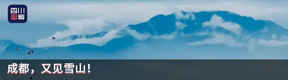 图片[4]-葵花药业原董事长“杀妻案”一审宣判-一鸣资源网