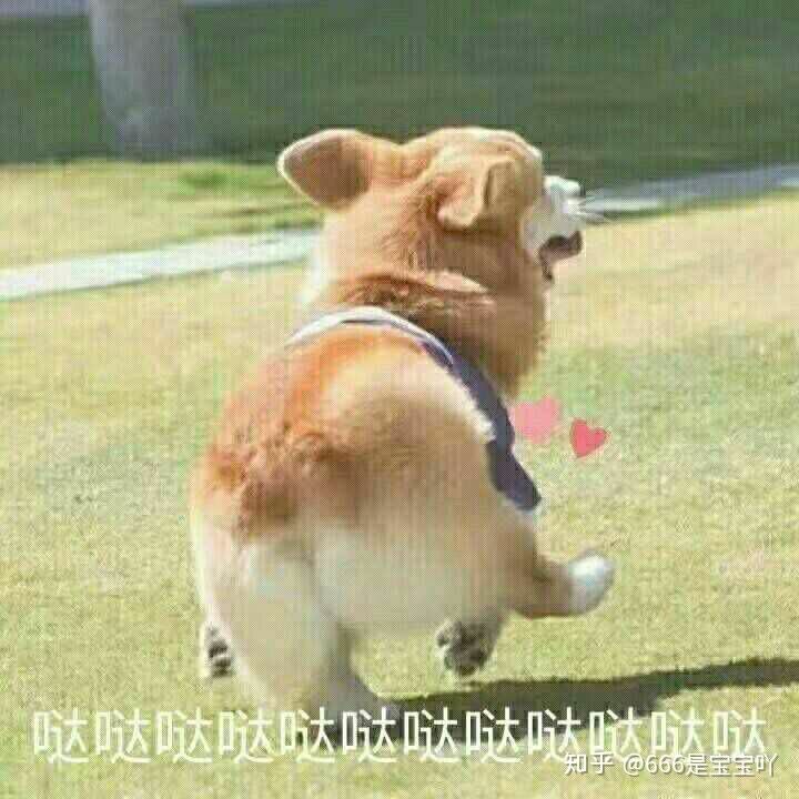 图片[1]-真·专业小姐姐带你解读国家开发银行助学贷款-5.2020年度7月答疑汇总-一鸣资源网