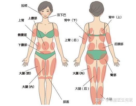 图片[1]-做吸脂/抽脂一般多少钱？价格如何？-一鸣资源网