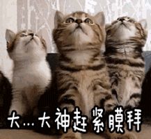 图片[1]-9个资源超好的网站，百度云盘都不够装，用过都说香-一鸣资源网