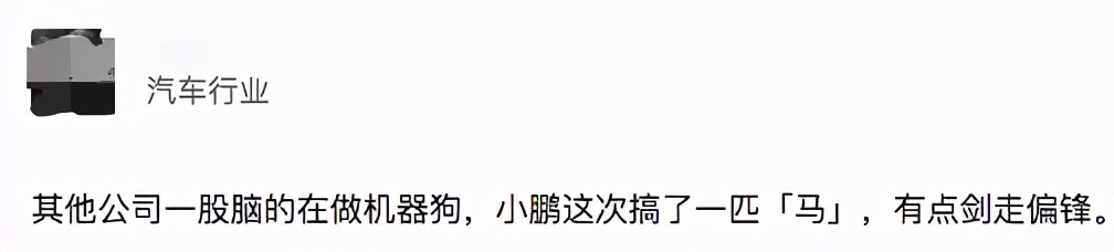 图片[8]-这是马？小鹏发布可骑乘「智能马」，四不像长相太奇葩！-一鸣资源网