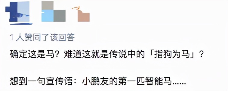 图片[7]-这是马？小鹏发布可骑乘「智能马」，四不像长相太奇葩！-一鸣资源网