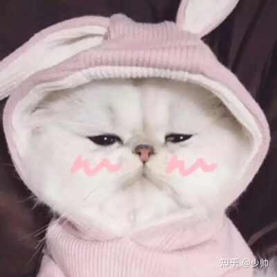 图片[1]-护肤品哪个牌子好？护肤品十大品牌排行榜推荐-一鸣资源网